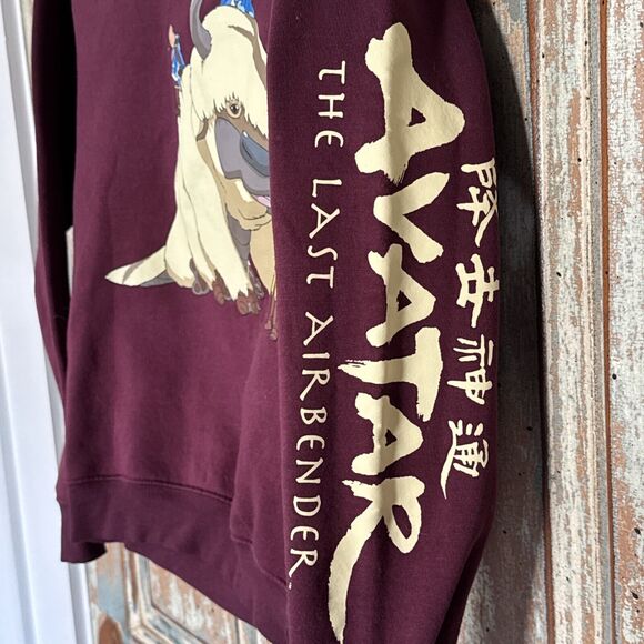 Avatar The Last Airbender Group Portrait Aang, Burgundy Sweater, Womens Size XS - Picture 3 of 7